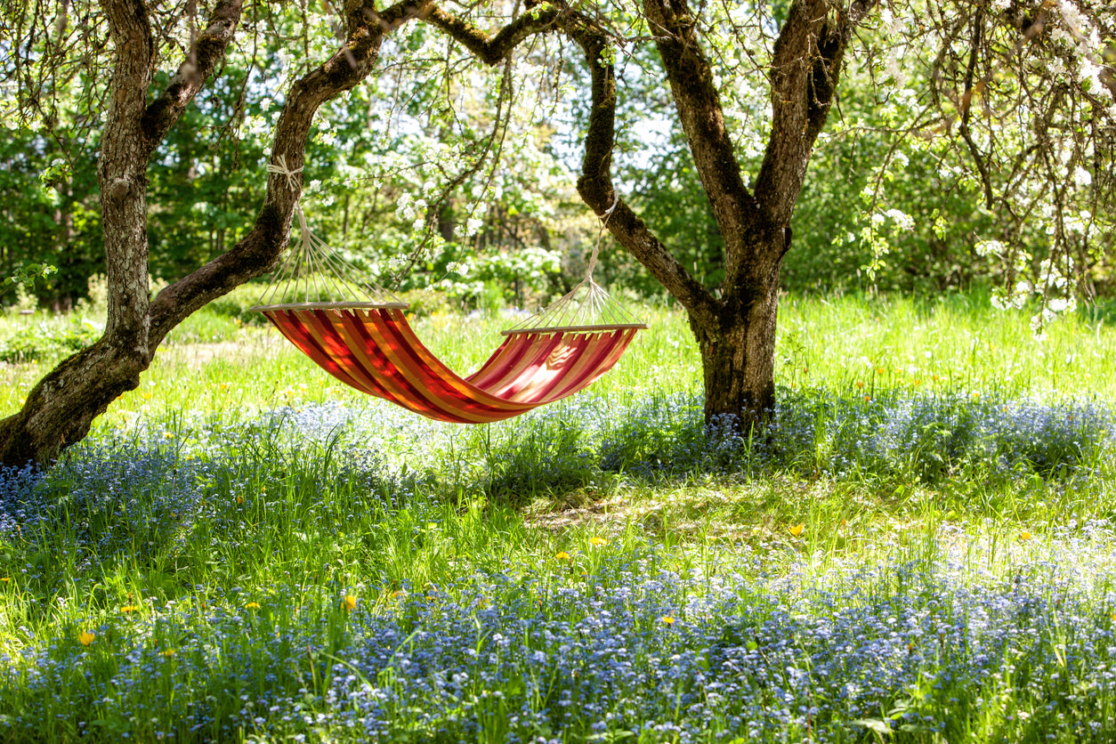 Rekindle the Spark Retreat: For Couples that are disconnected but hopeful.