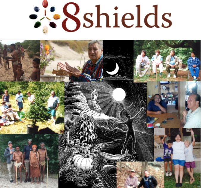 8 Shields