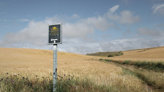 Walking the Camino de Santiago through Southwest France