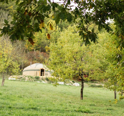 Green Yurt